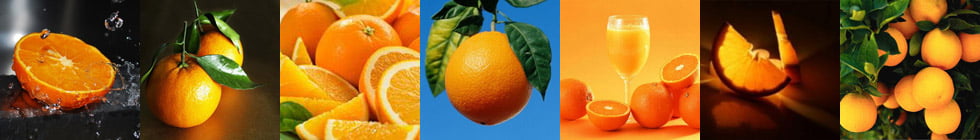 Как правильно пишется слово «апельсин»?