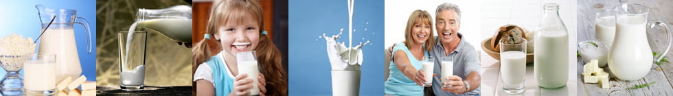 Как правильно пишется слово «молоко»?