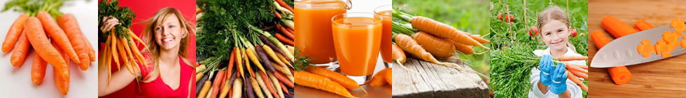 Как правильно пишется слово «морковь»?
