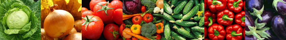 Как правильно пишется слово «овощ»?
